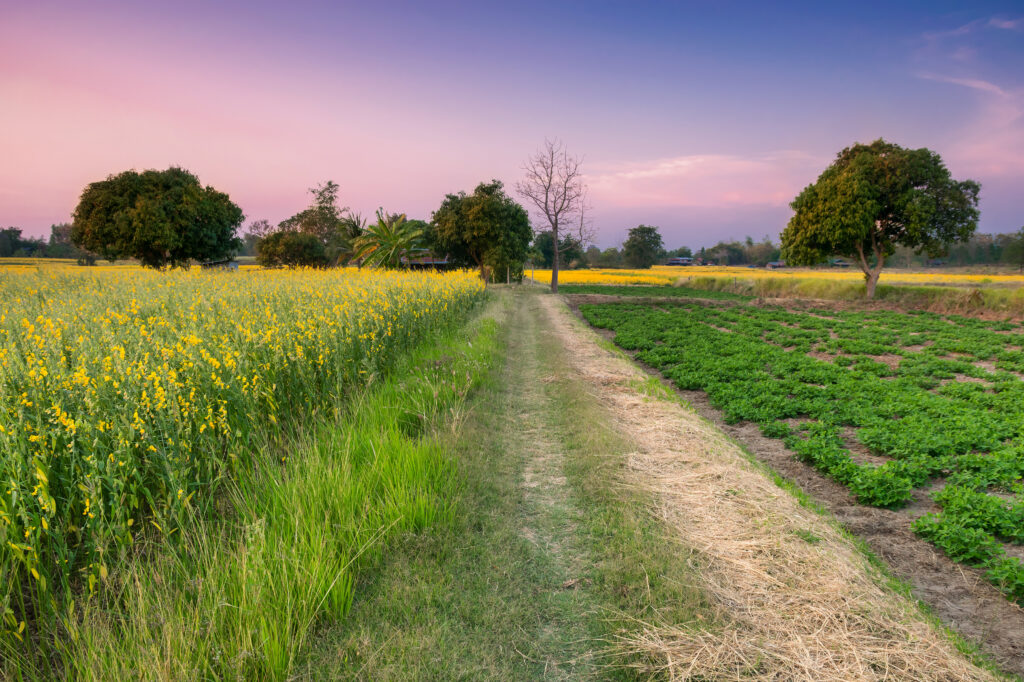 Farm & Personal Property