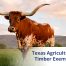 orange and white longhorn standing in a field, with text reading Texas Agricultural Exemption